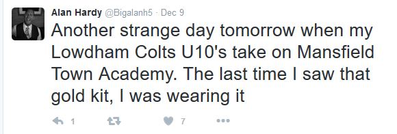 AH colts.JPG