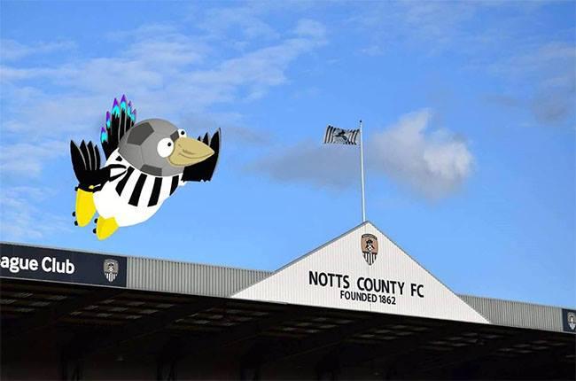 More information about "Junior Notts County fan competition: Draw Pride of Nottingham mascot Pon Magpie!"