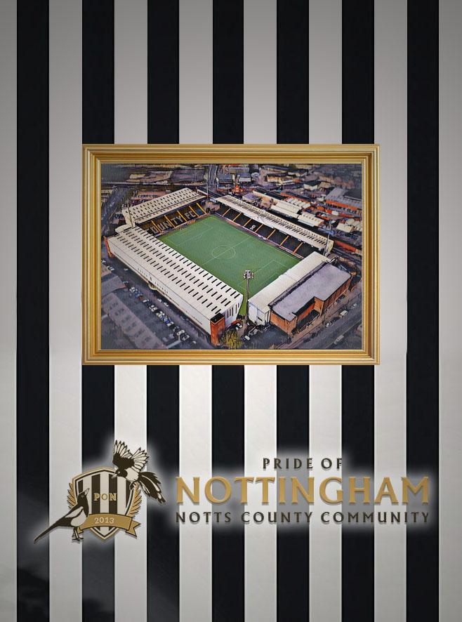 A3 Aerial Meadow Lane Notts County Pride of Nottingham print