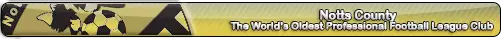 (Yellow) NCFC Worlds Oldest Professional Football Club.webp