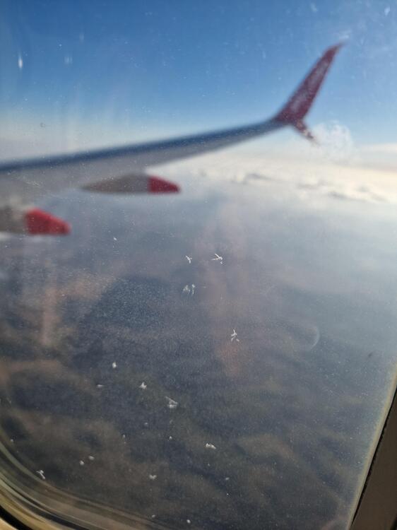 20260517_194757.jpg